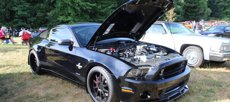 2013 Shelby GT 500 – Leo Hopkins