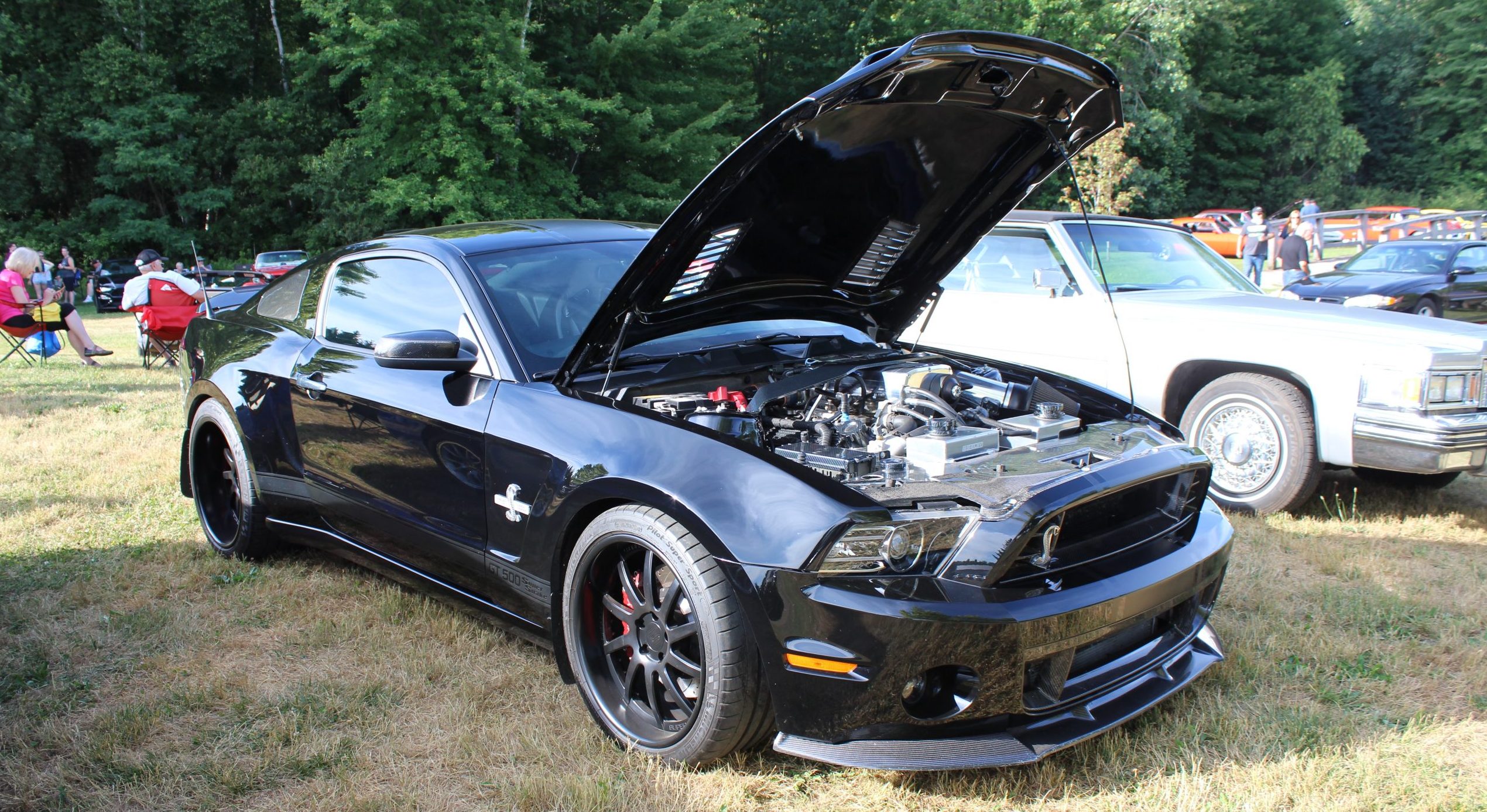 2013 Shelby GT 500 – Leo Hopkins