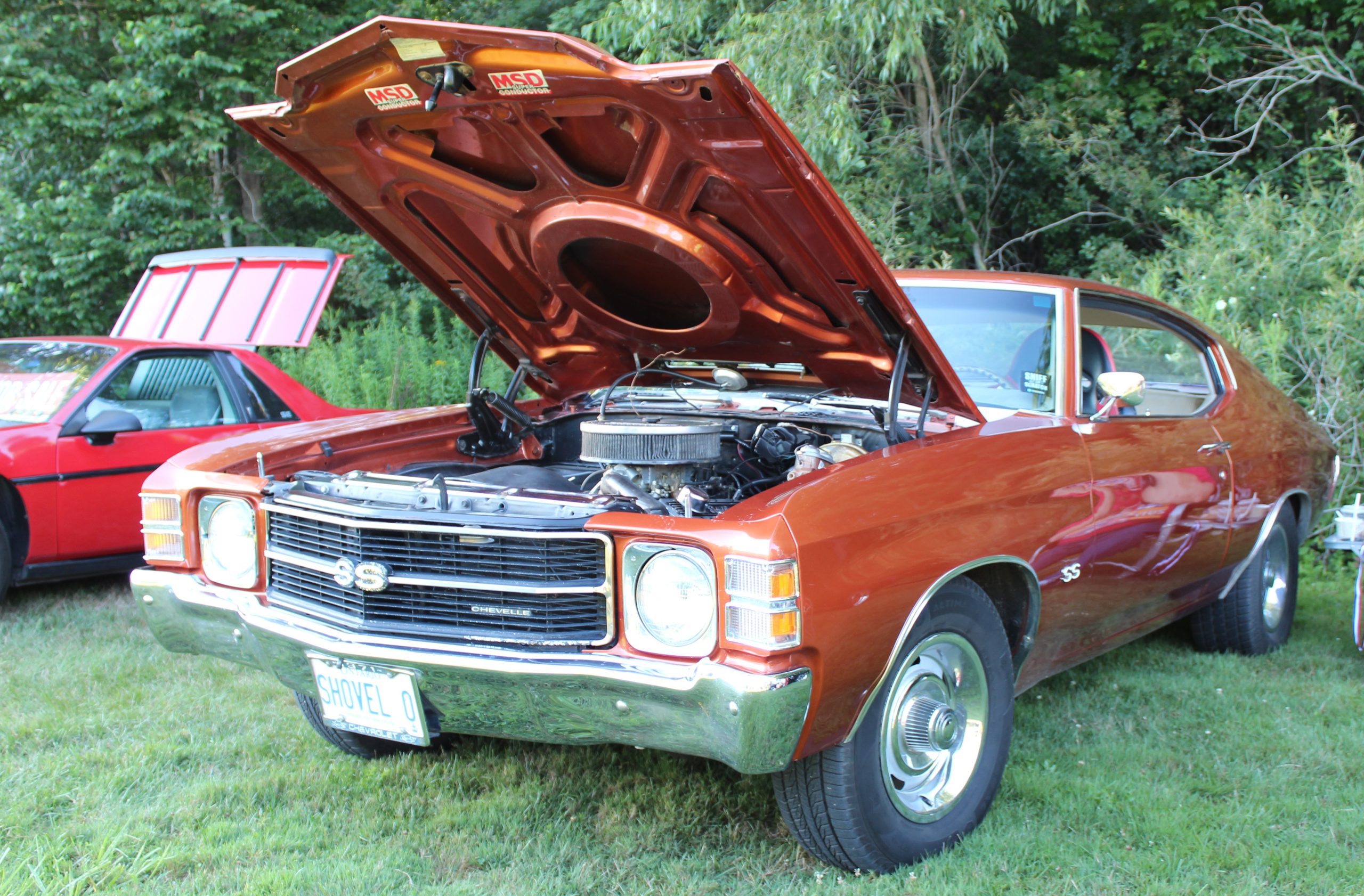 1971 Chevrolet Chevelle – Doug Ross