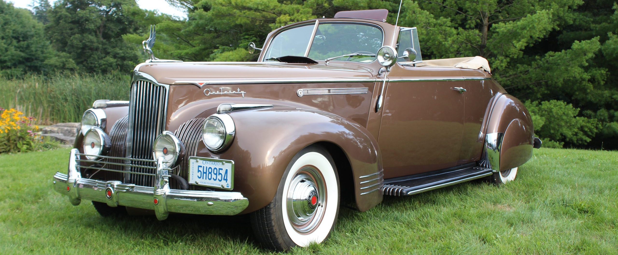 1941 Packard One-Twenty – Ilona & Gerry Dimmelow