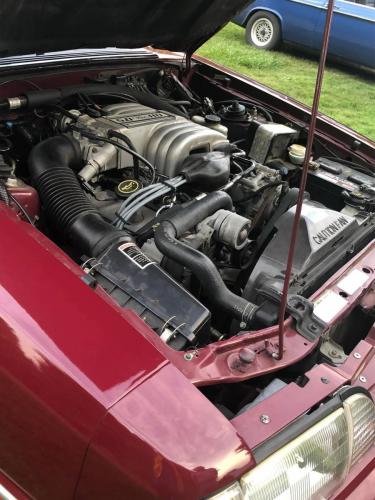 Feature Car - 2022-09-15 - 1988 Ford Mustang 5.0 Litre - Jason Lazar