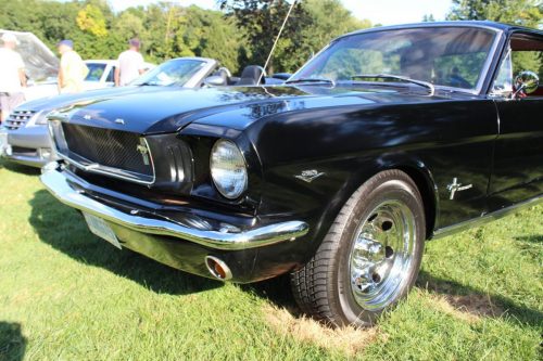 Feature Car - 2025-08-21 - 1964½ Ford Mustang Hardtop - Rachel Giammarco
