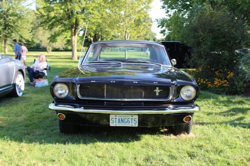 Feature Car - 2025-08-21 - 1964½ Ford Mustang Hardtop - Rachel Giammarco