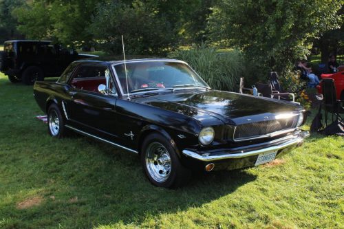 Feature Car - 2025-08-21 - 1964½ Ford Mustang Hardtop - Rachel Giammarco