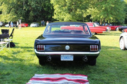 Feature Car - 2025-08-21 - 1964½ Ford Mustang Hardtop - Rachel Giammarco