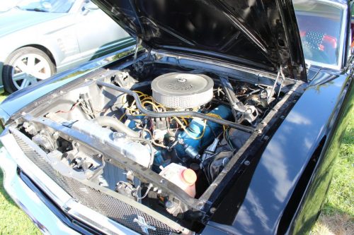 Feature Car - 2025-08-21 - 1964½ Ford Mustang Hardtop - Rachel Giammarco