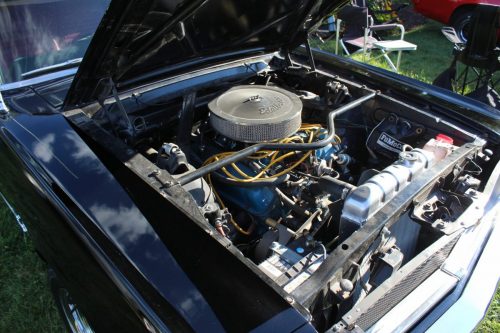 Feature Car - 2025-08-21 - 1964½ Ford Mustang Hardtop - Rachel Giammarco